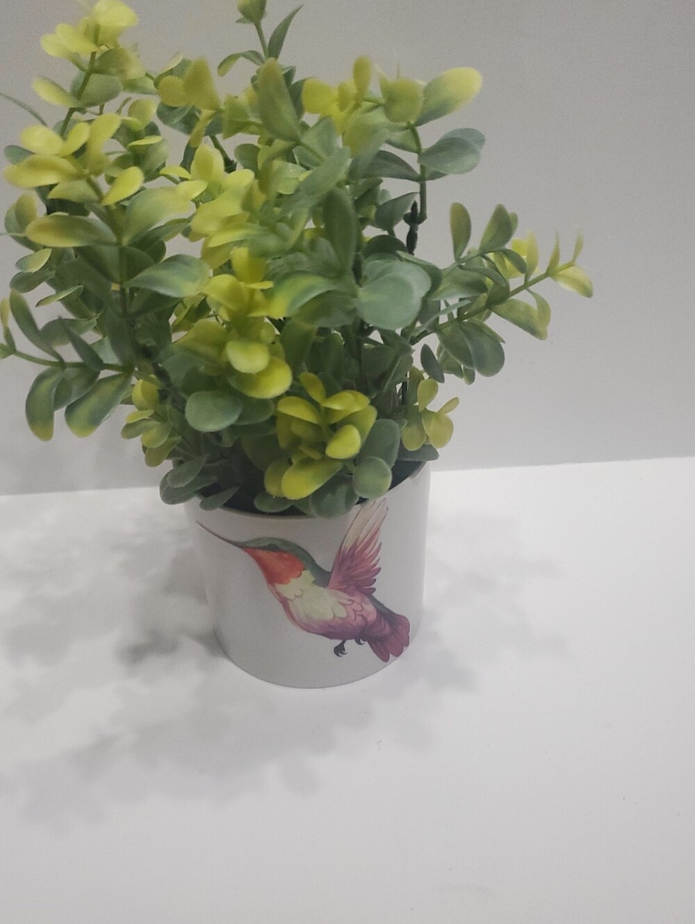 Light Up Plant - Picture 13 of 16